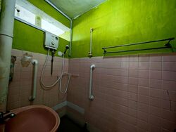 Blk 102 Henderson Crescent (Bukit Merah), HDB 4 Rooms #585965641